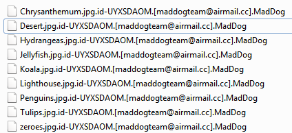 remove MadDog ransomware