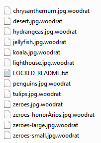 decrypt .Woodrat files
